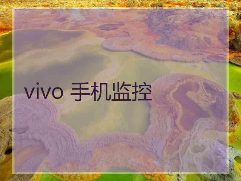 vivo 手机监控