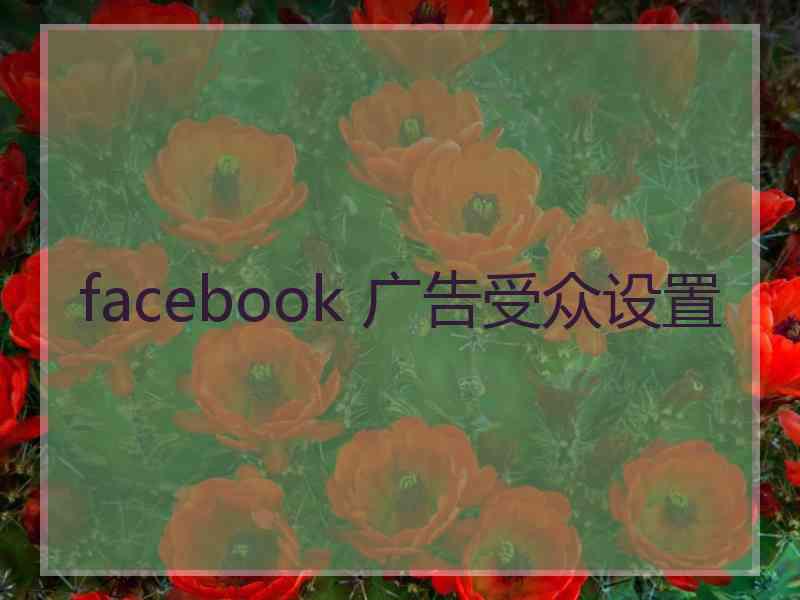 facebook 广告受众设置