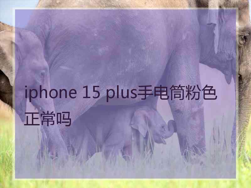 iphone 15 plus手电筒粉色正常吗