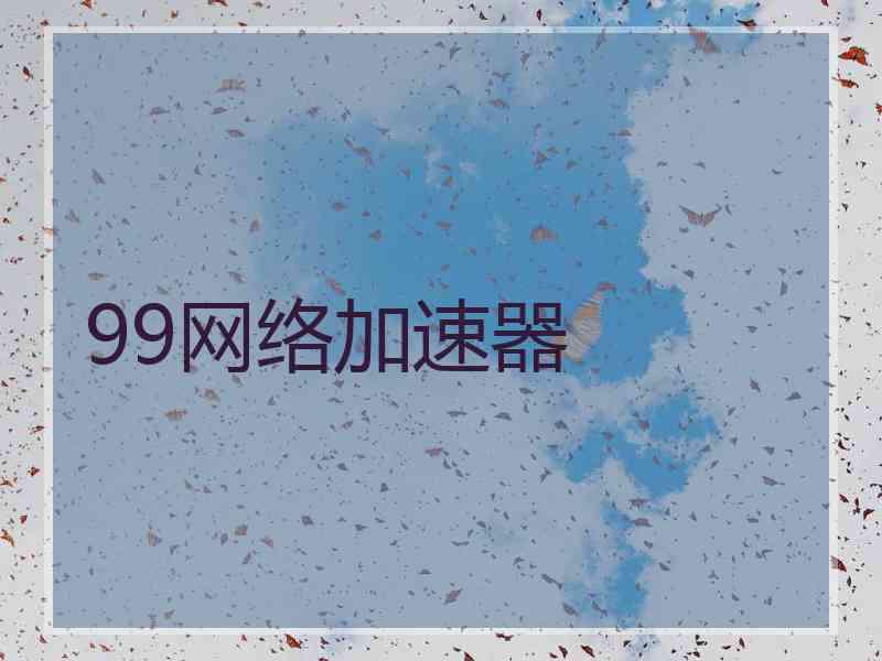 99网络加速器