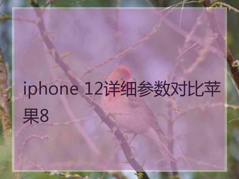 iphone 12详细参数对比苹果8