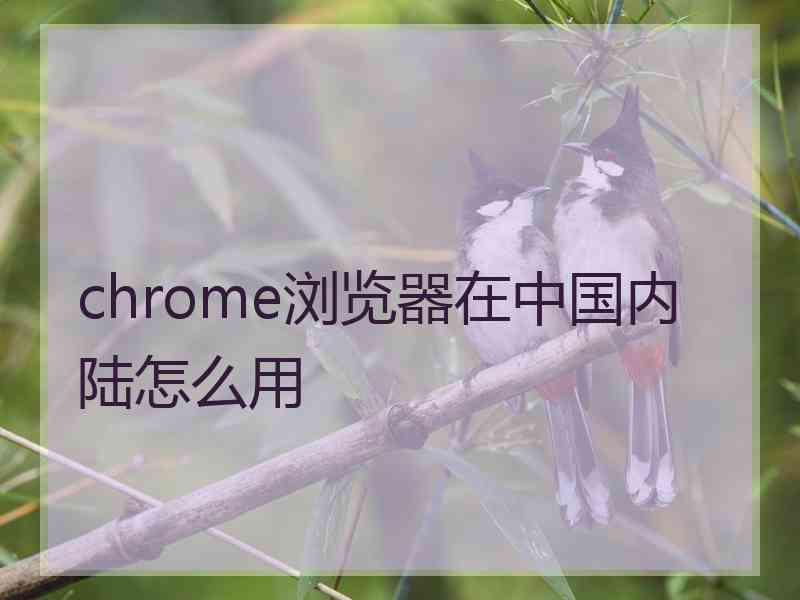 chrome浏览器在中国内陆怎么用