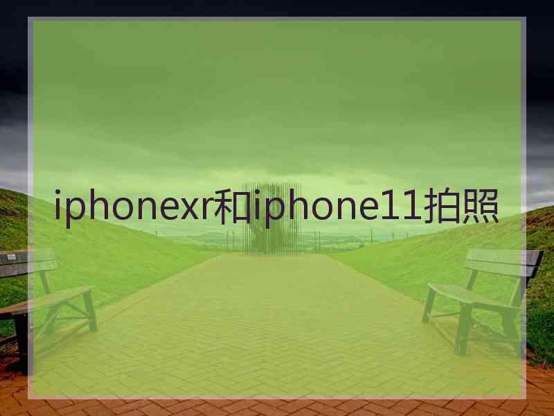 iphonexr和iphone11拍照