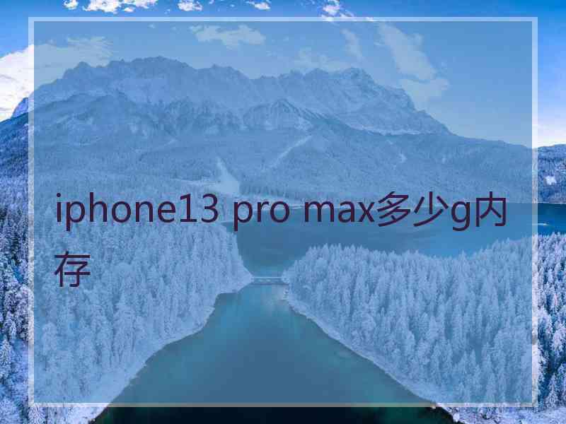 iphone13 pro max多少g内存