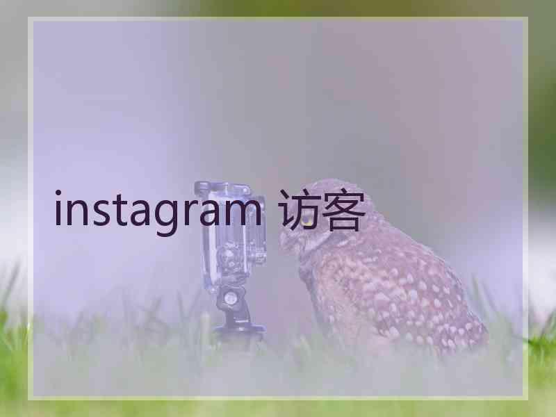 instagram 访客