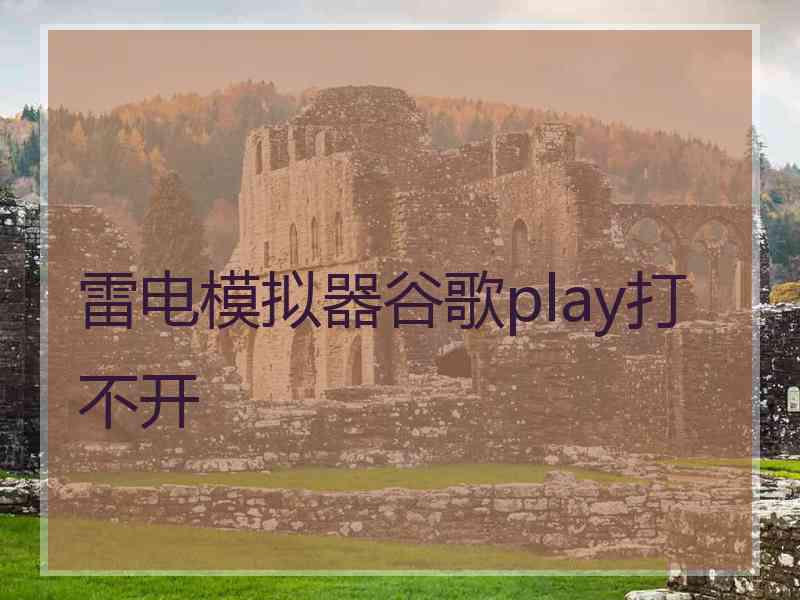 雷电模拟器谷歌play打不开