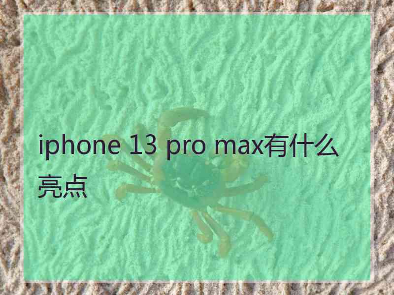 iphone 13 pro max有什么亮点