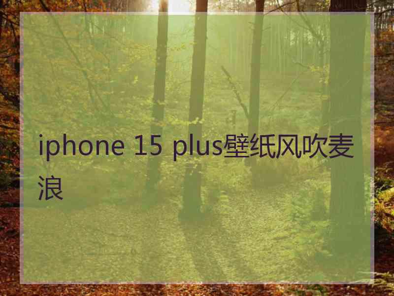 iphone 15 plus壁纸风吹麦浪