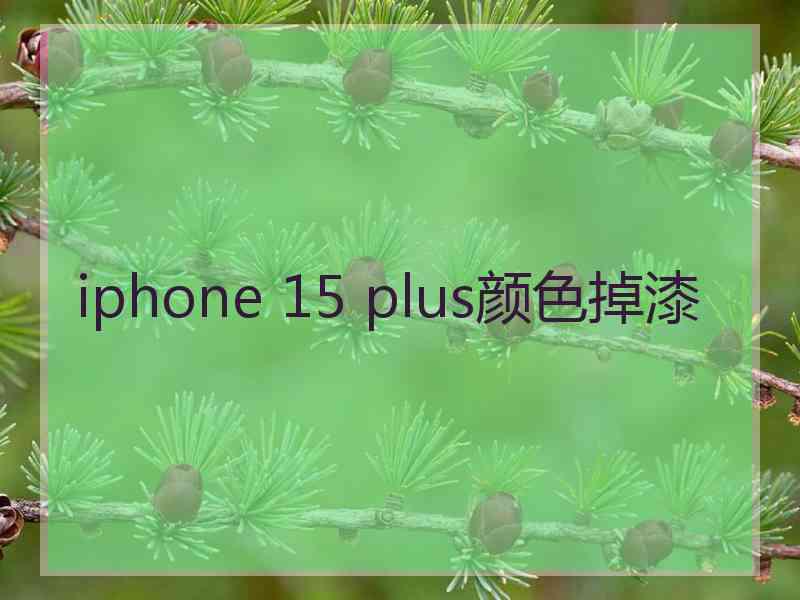 iphone 15 plus颜色掉漆