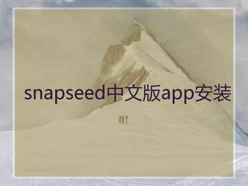 snapseed中文版app安装