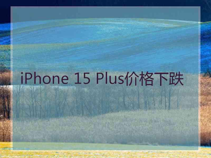 iPhone 15 Plus价格下跌