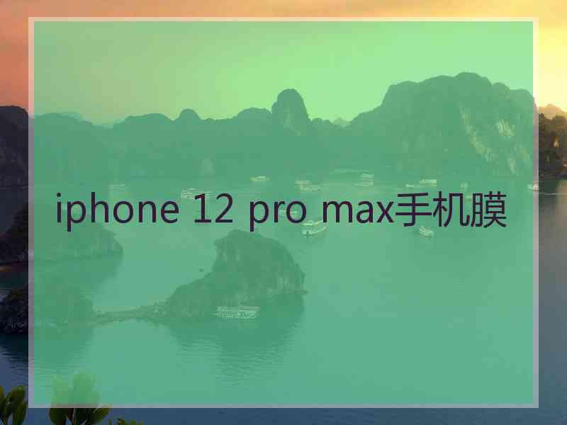 iphone 12 pro max手机膜