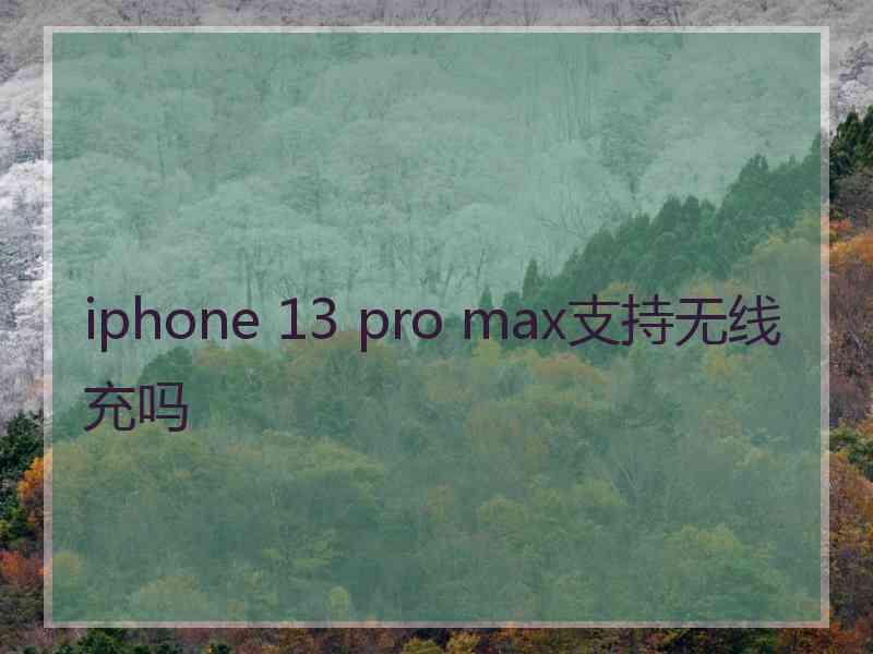 iphone 13 pro max支持无线充吗