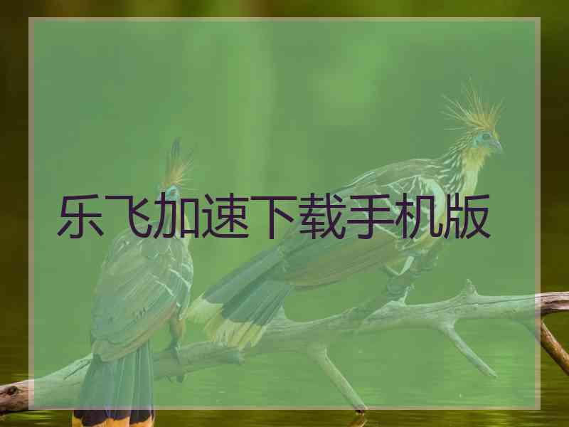 乐飞加速下载手机版