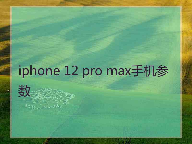 iphone 12 pro max手机参数