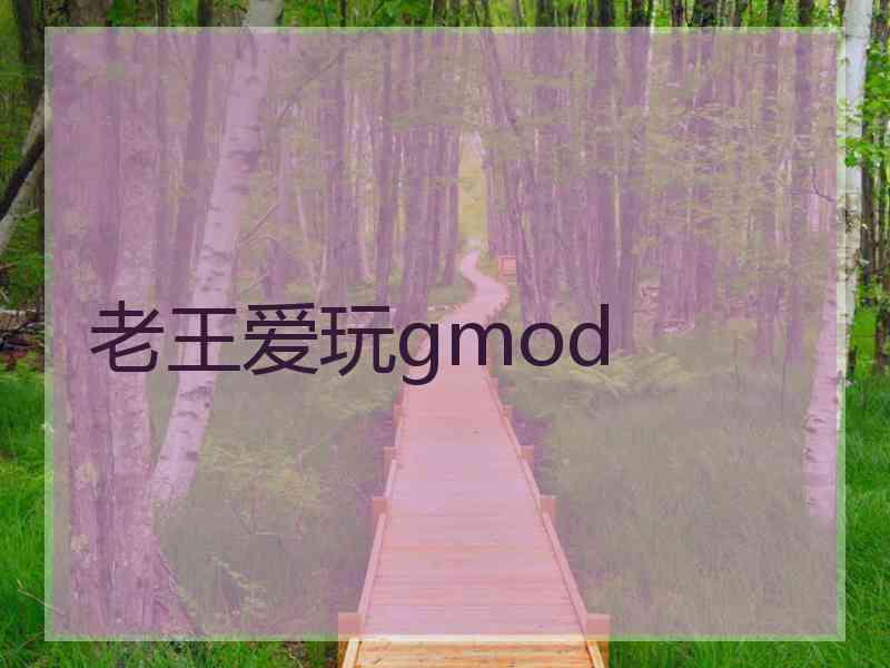 老王爱玩gmod