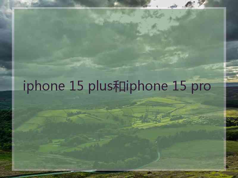 iphone 15 plus和iphone 15 pro