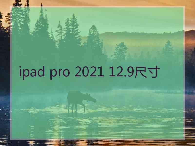 ipad pro 2021 12.9尺寸