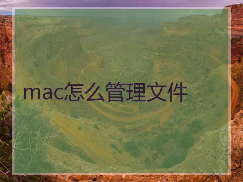 mac怎么管理文件