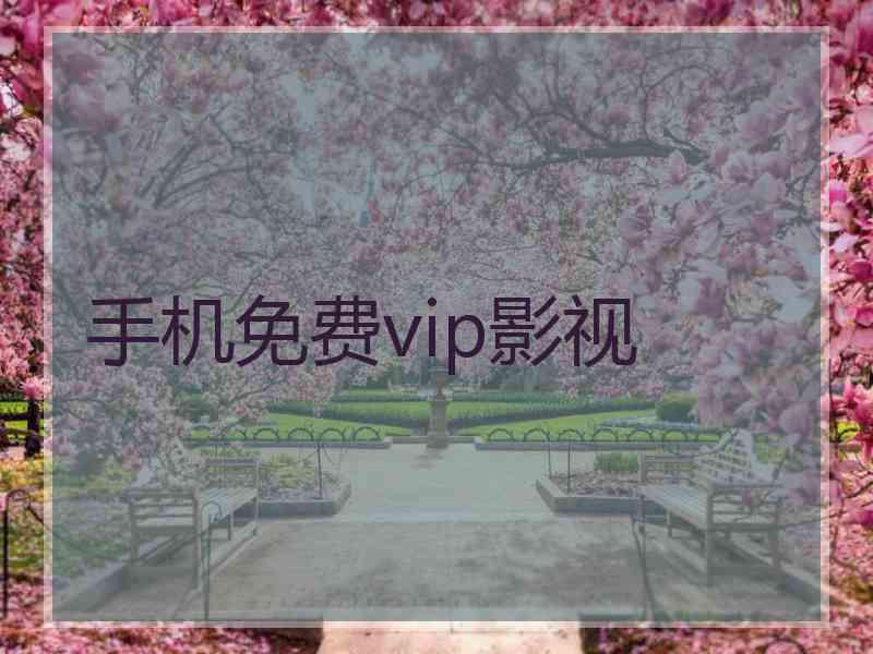 手机免费vip影视