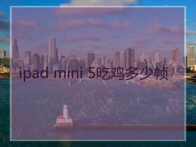 ipad mini 5吃鸡多少帧