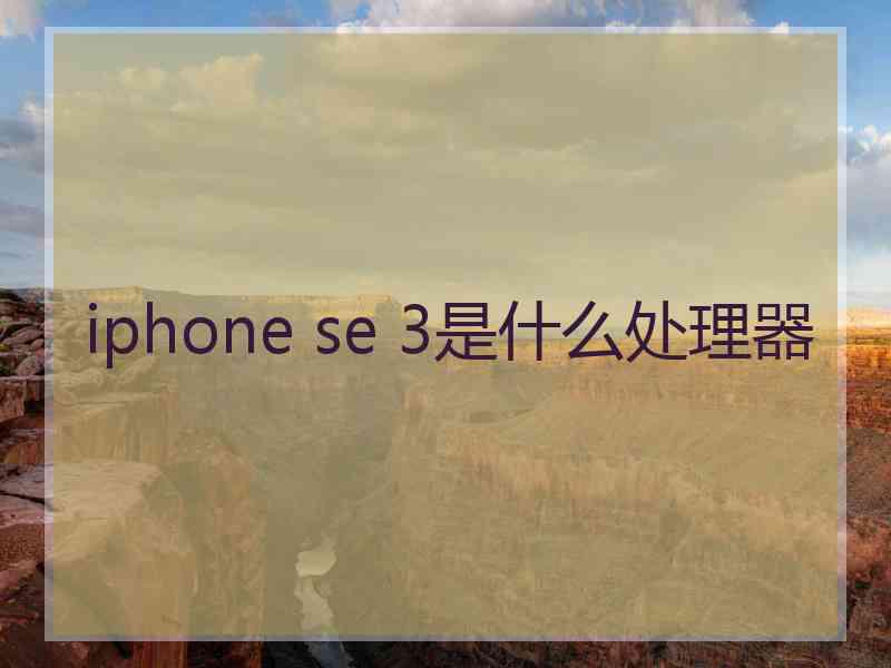 iphone se 3是什么处理器