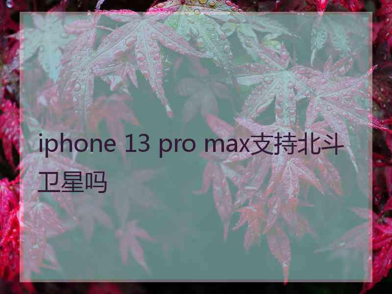 iphone 13 pro max支持北斗卫星吗