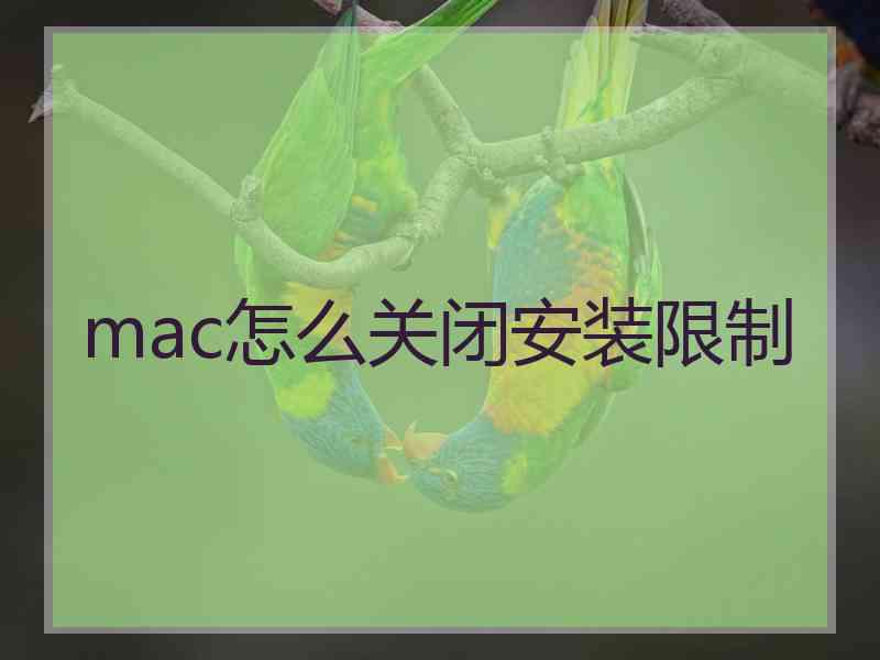 mac怎么关闭安装限制