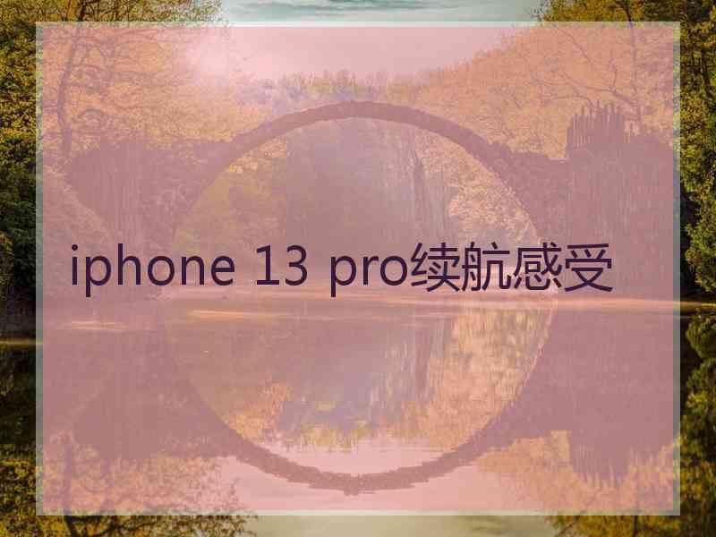 iphone 13 pro续航感受