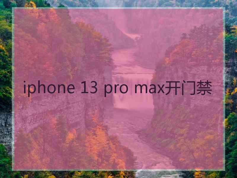 iphone 13 pro max开门禁