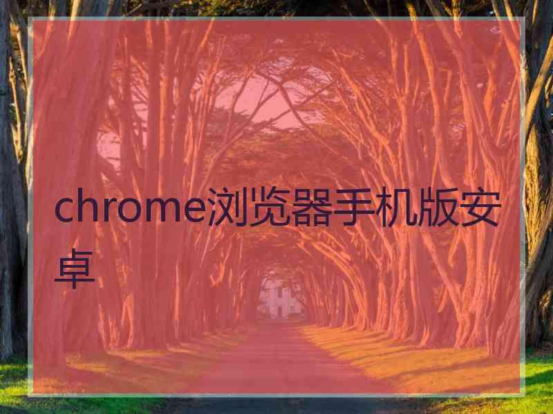 chrome浏览器手机版安卓