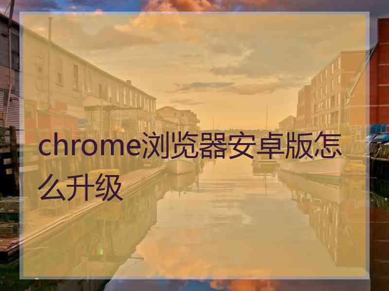 chrome浏览器安卓版怎么升级