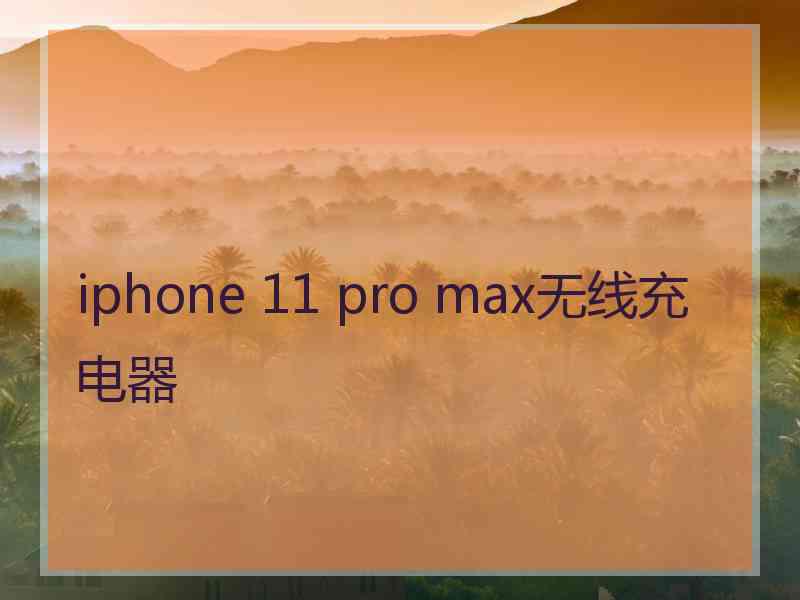 iphone 11 pro max无线充电器