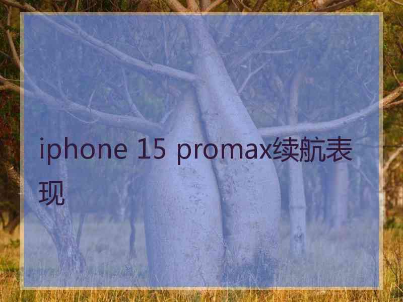 iphone 15 promax续航表现