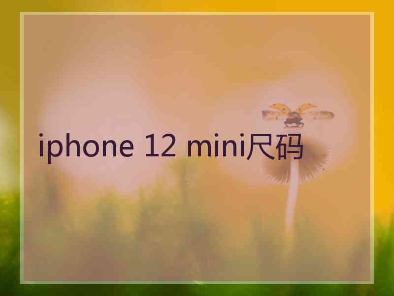 iphone 12 mini尺码