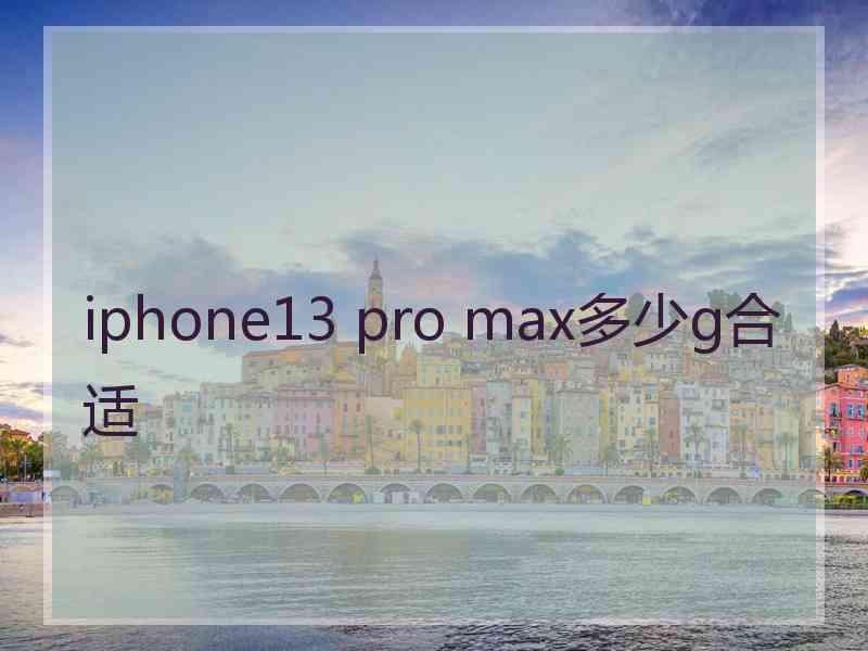 iphone13 pro max多少g合适