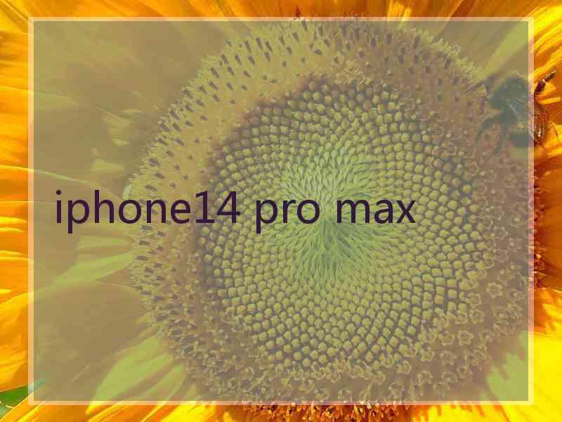 iphone14 pro max