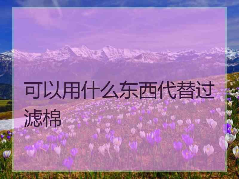 可以用什么东西代替过滤棉