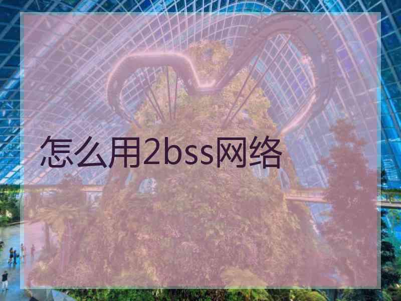 怎么用2bss网络