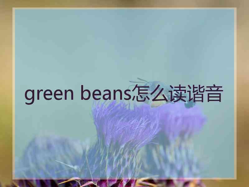 green beans怎么读谐音