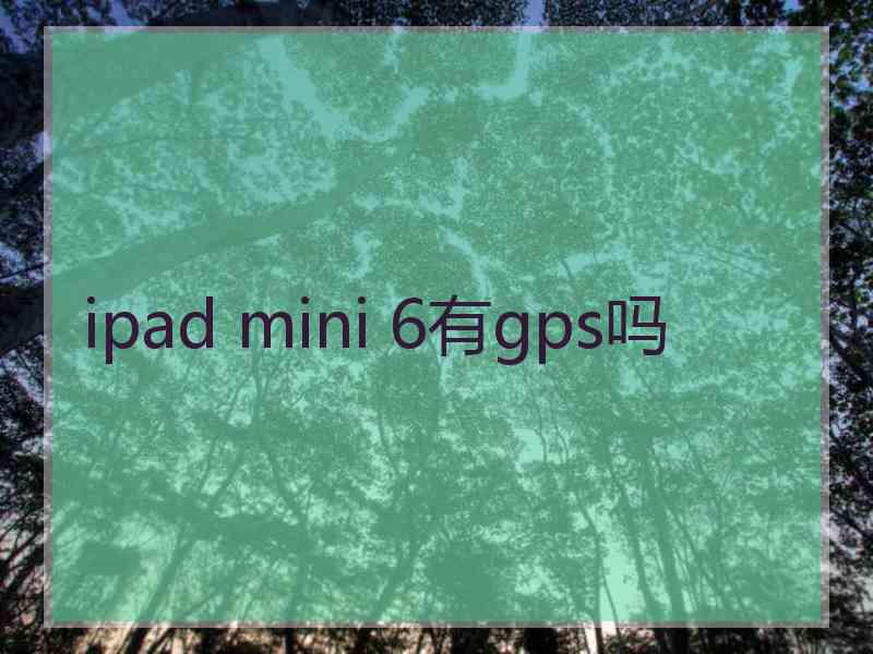 ipad mini 6有gps吗