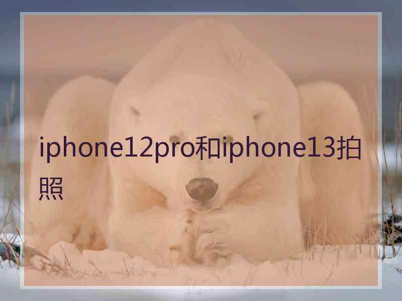 iphone12pro和iphone13拍照