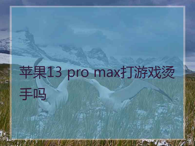 苹果13 pro max打游戏烫手吗