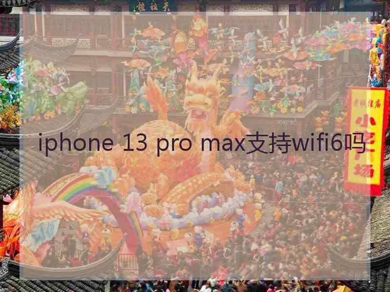 iphone 13 pro max支持wifi6吗