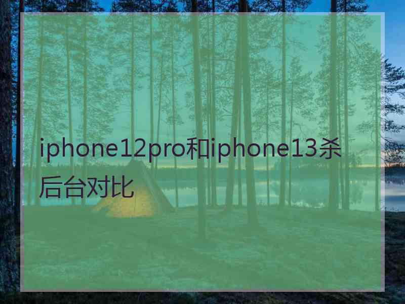 iphone12pro和iphone13杀后台对比