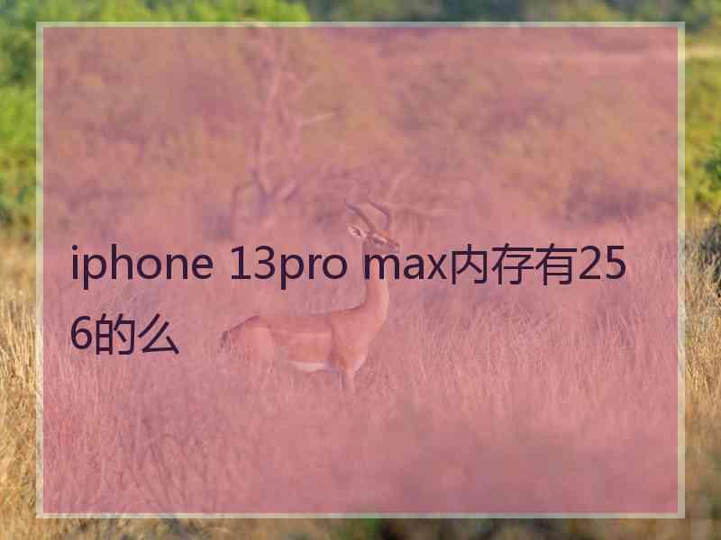 iphone 13pro max内存有256的么