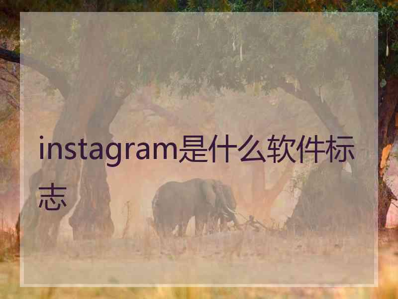 instagram是什么软件标志