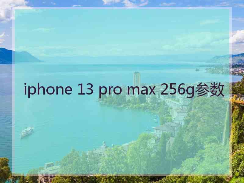 iphone 13 pro max 256g参数