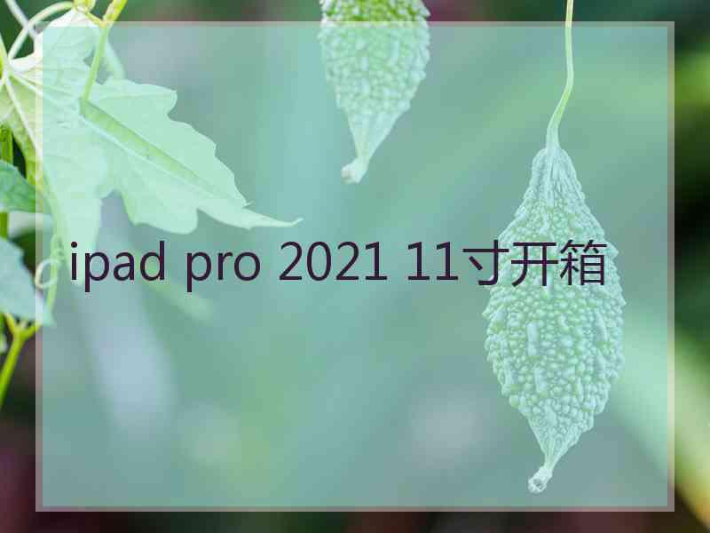 ipad pro 2021 11寸开箱