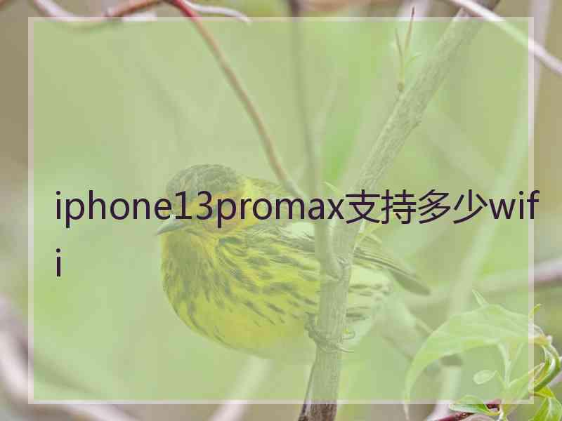 iphone13promax支持多少wifi